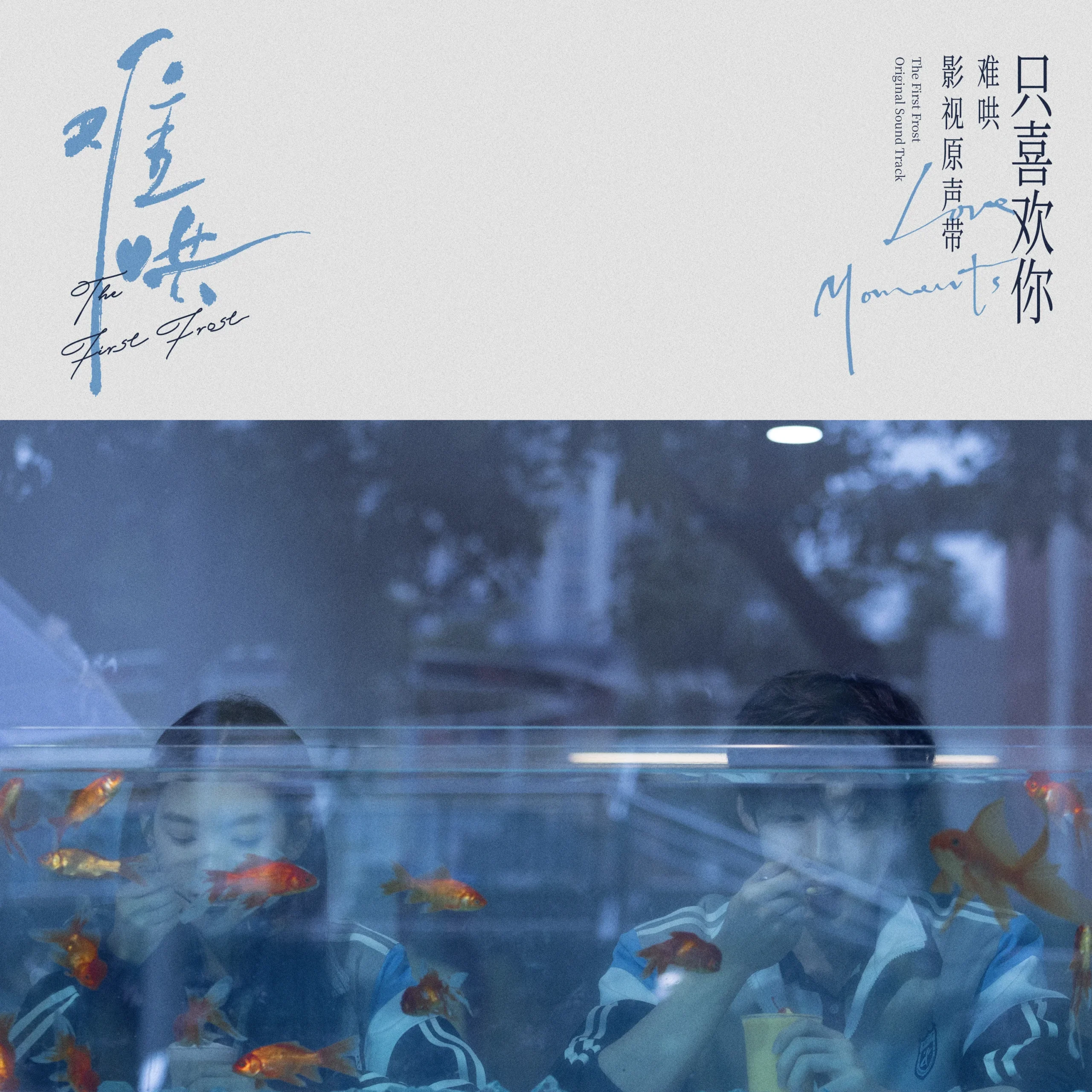 专辑封面